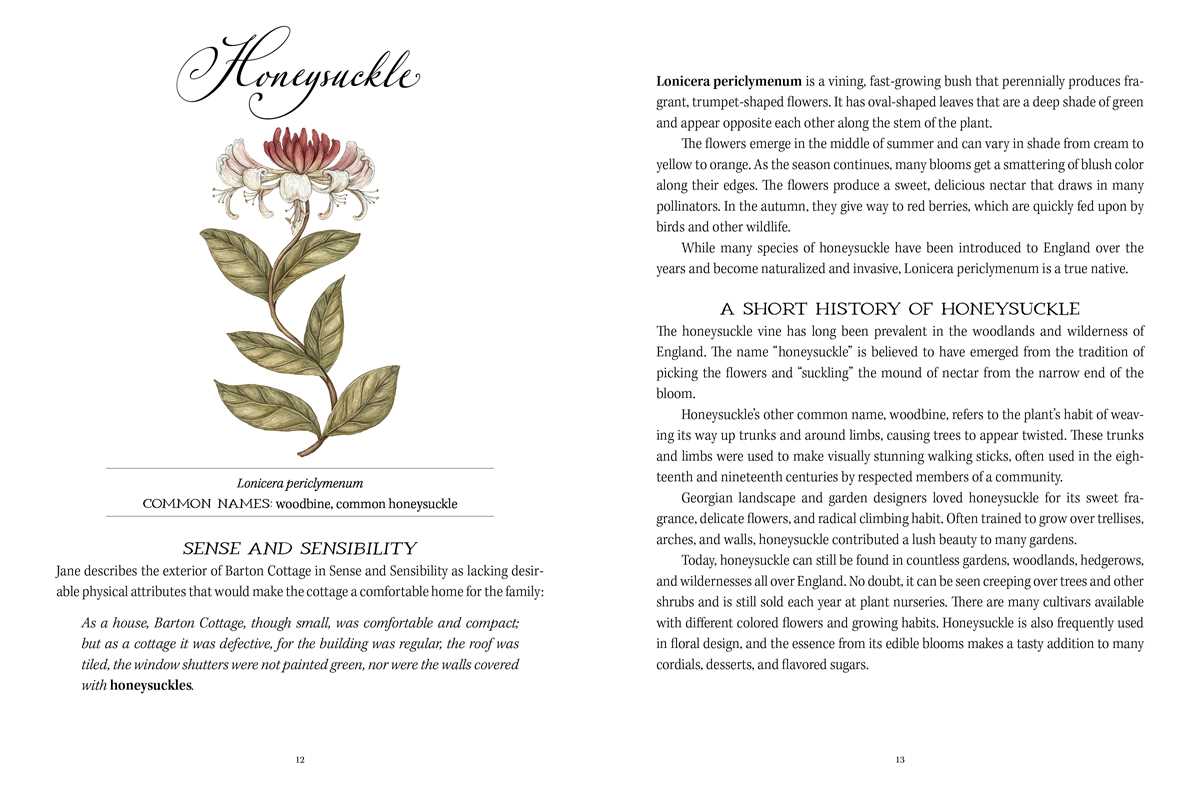 Jane Austen's Garden