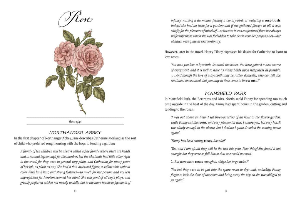 Jane Austen's Garden