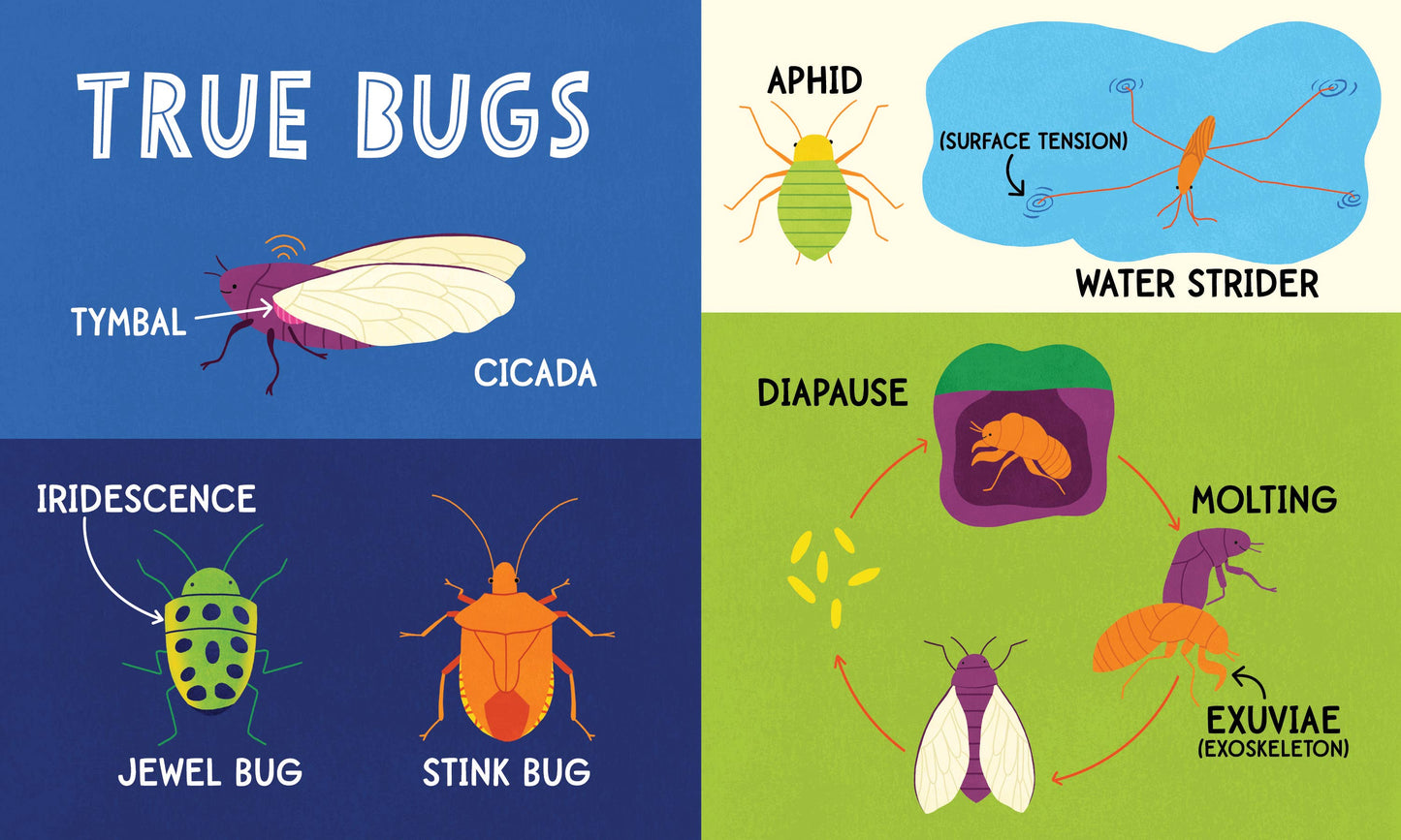 My First 100 Bug Words (BB-Padded)