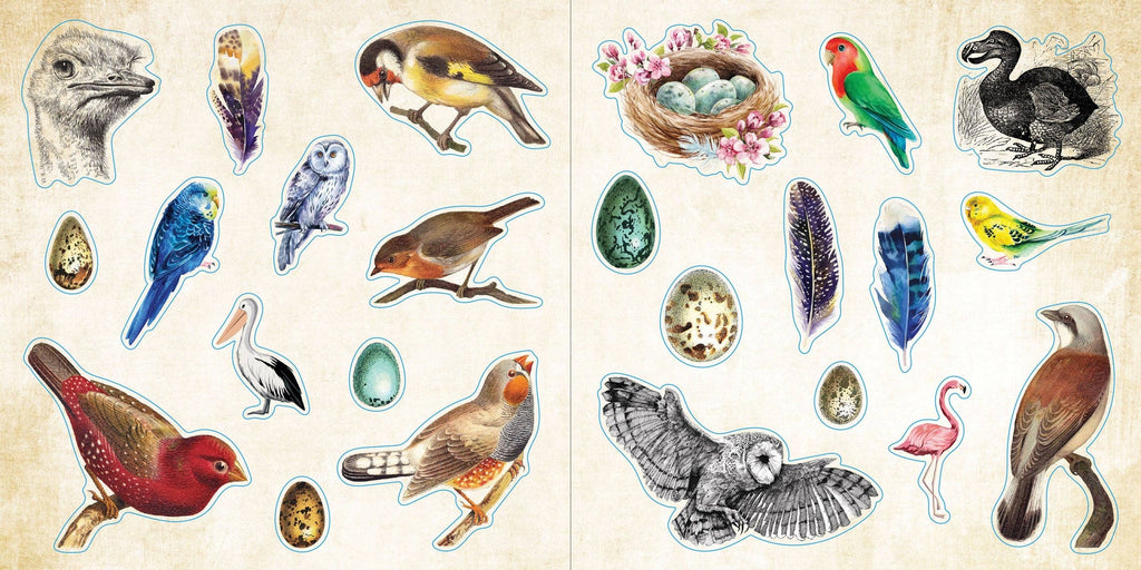Sticker Book - Loads of Ephemera (580 stickers)