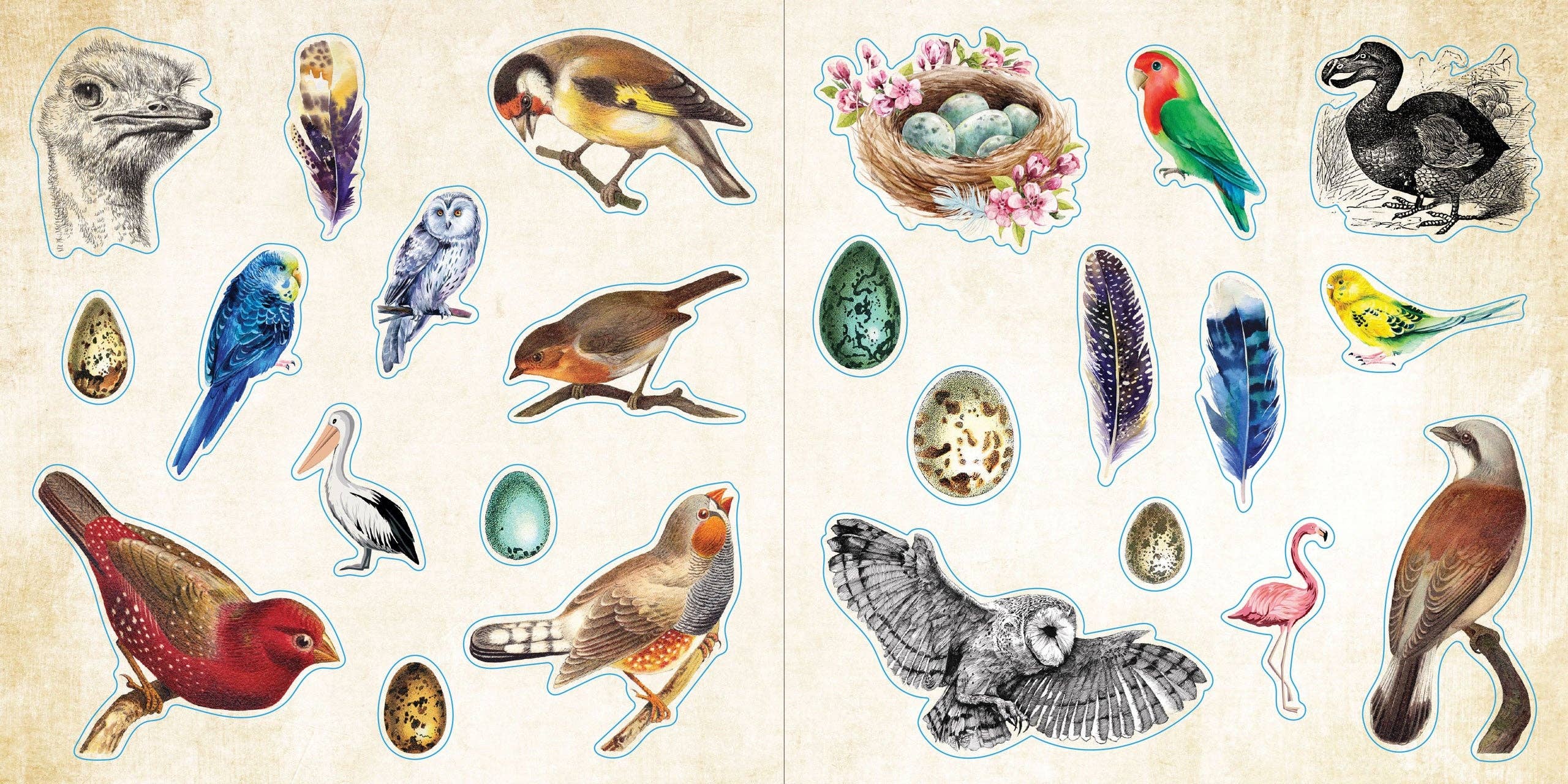 Sticker Book - Loads of Ephemera (580 stickers)