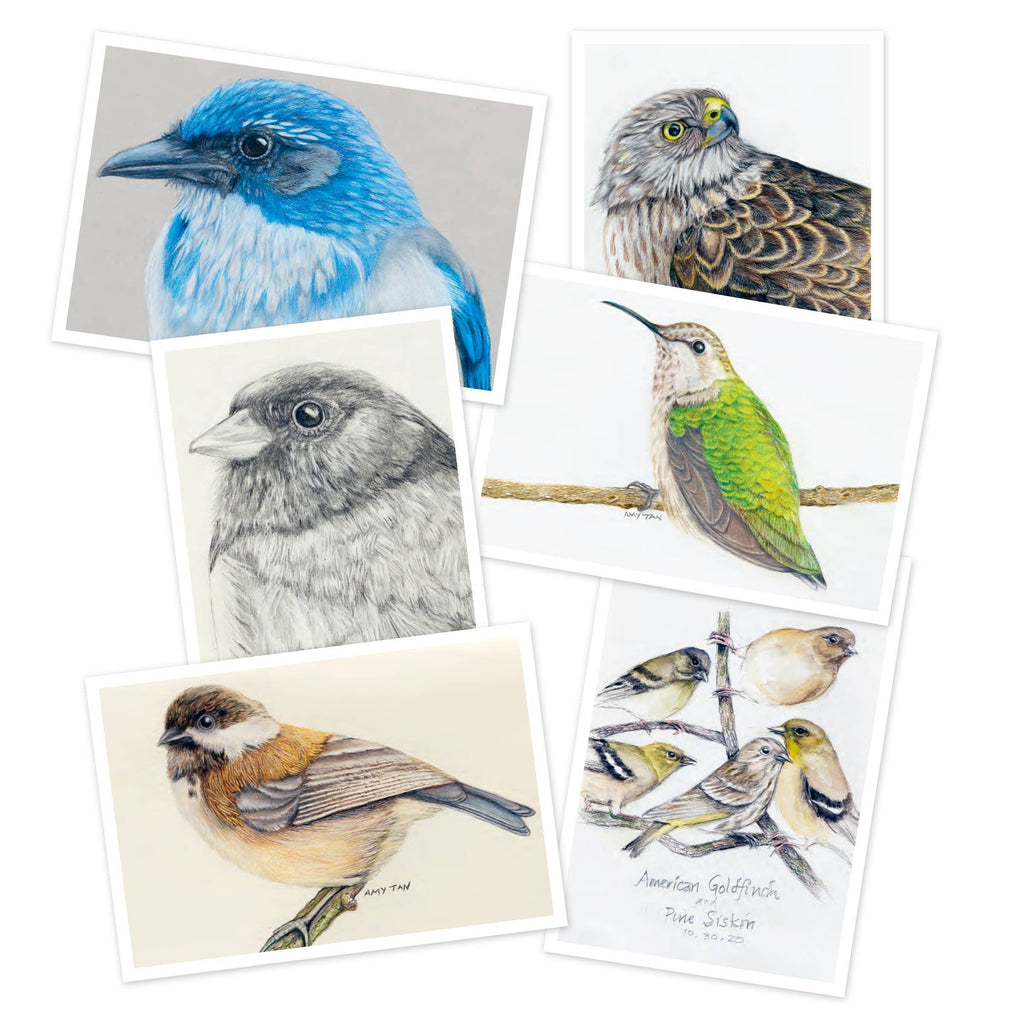 The Backyard Bird Chronicles: 50 Postcards by Amy Tan