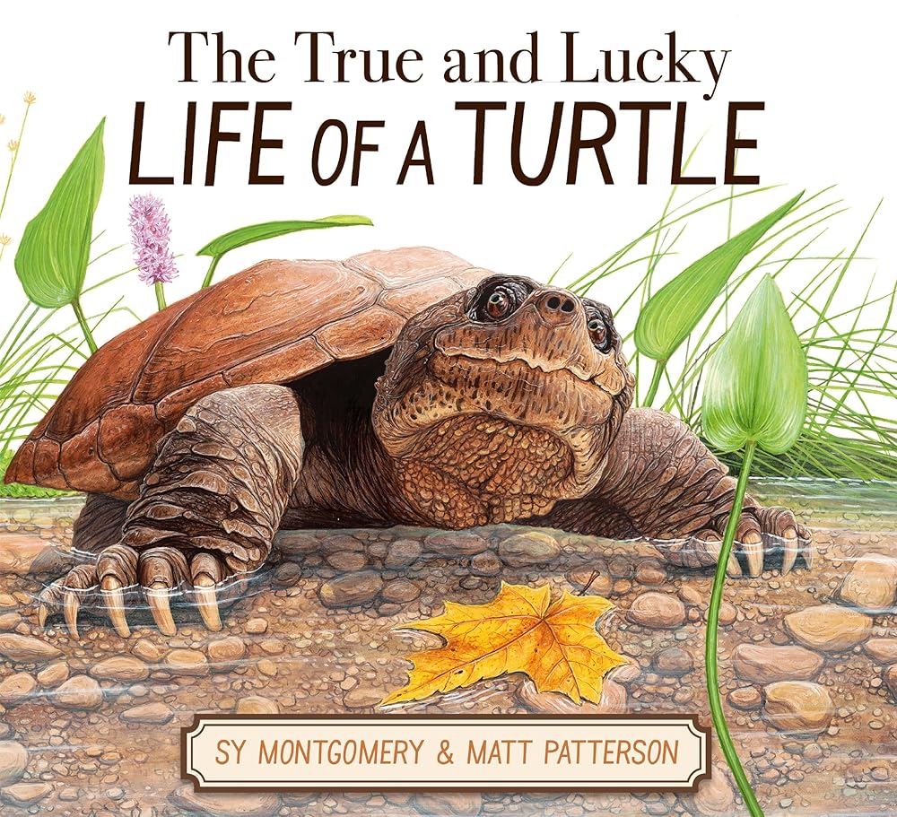 The True and Lucky Life of a Turtle cover image