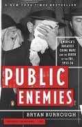 Public Enemies: America's Greatest Crime Wave and the Birth of the FBI, 1933-34 cover image