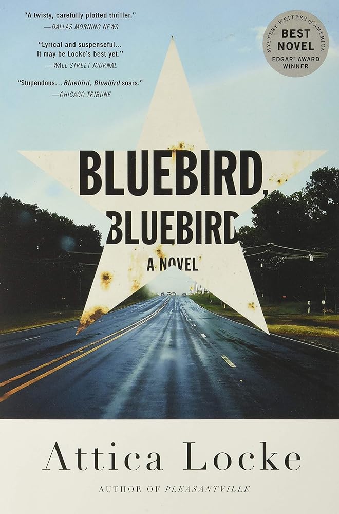Bluebird, Bluebird (A Highway 59 Novel, 1) cover image