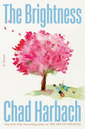 The Brightness: A Novel cover image