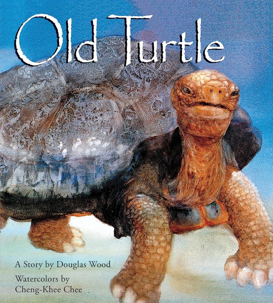 Old Turtle (Lessons of Old Turtle) cover image