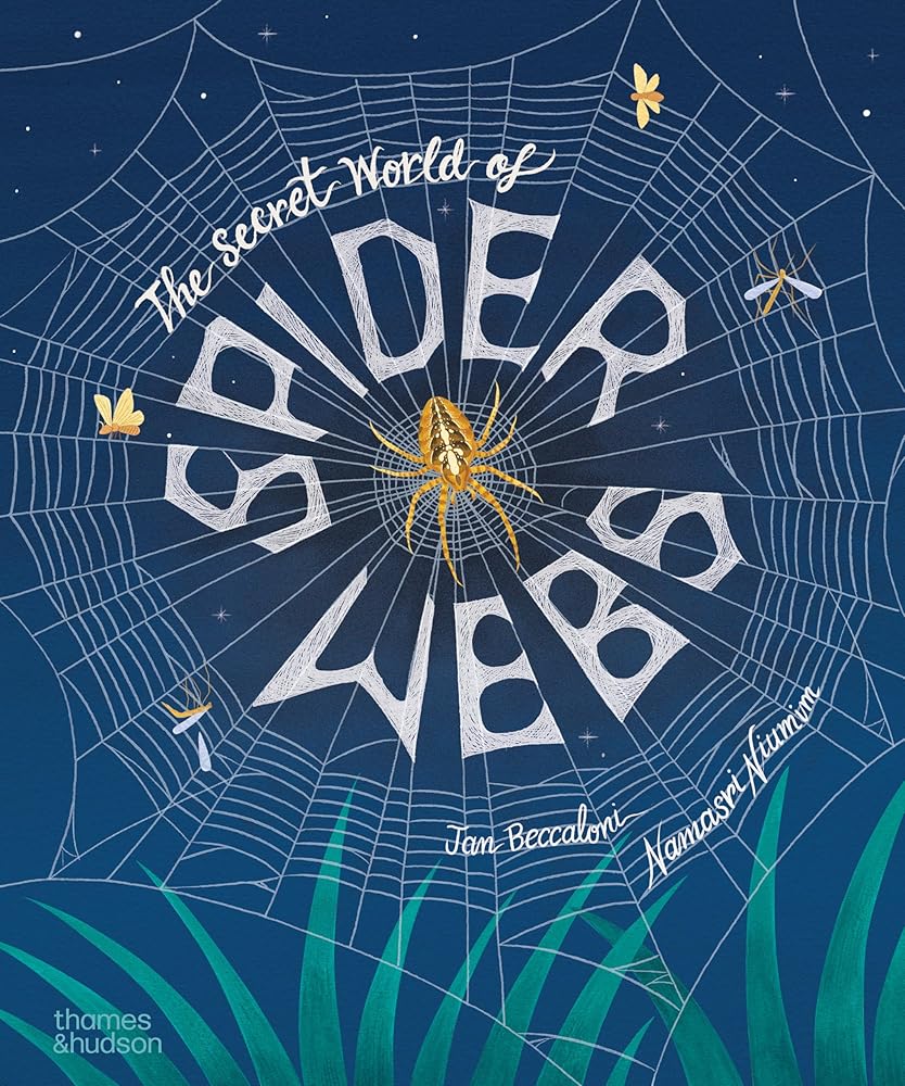 The Secret World of Spiderwebs (The Secret World, 1) cover image