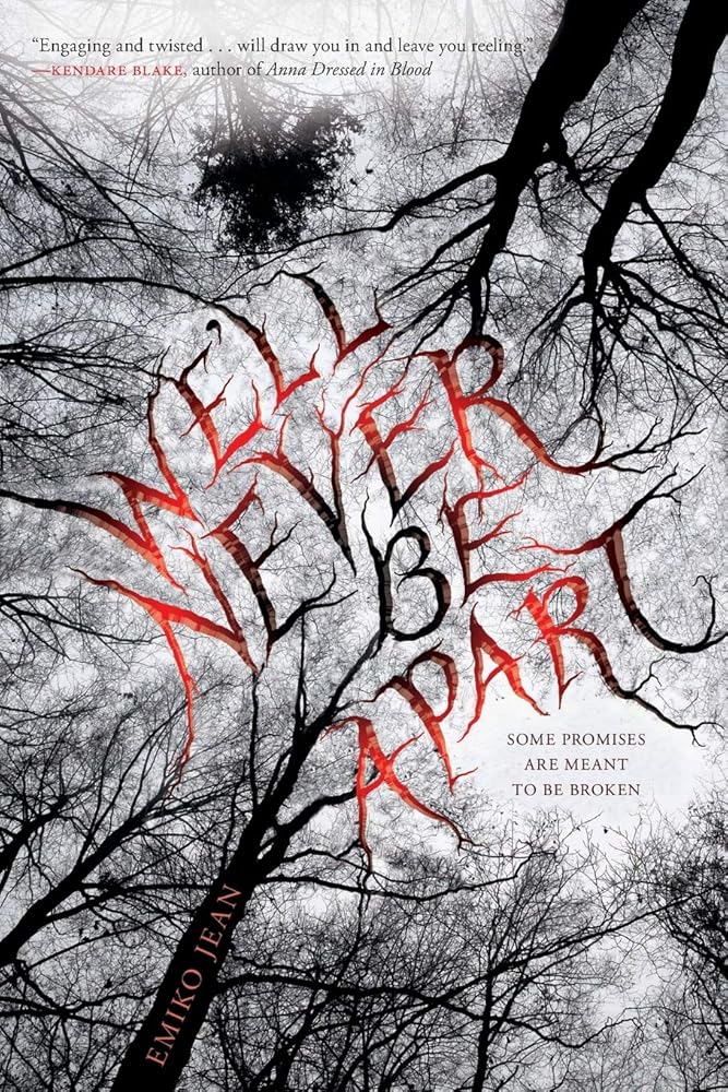We'll Never Be Apart: A Gripping Debut YA Thriller of Secrets, Fire, and a Sister's Dark Revenge cover image
