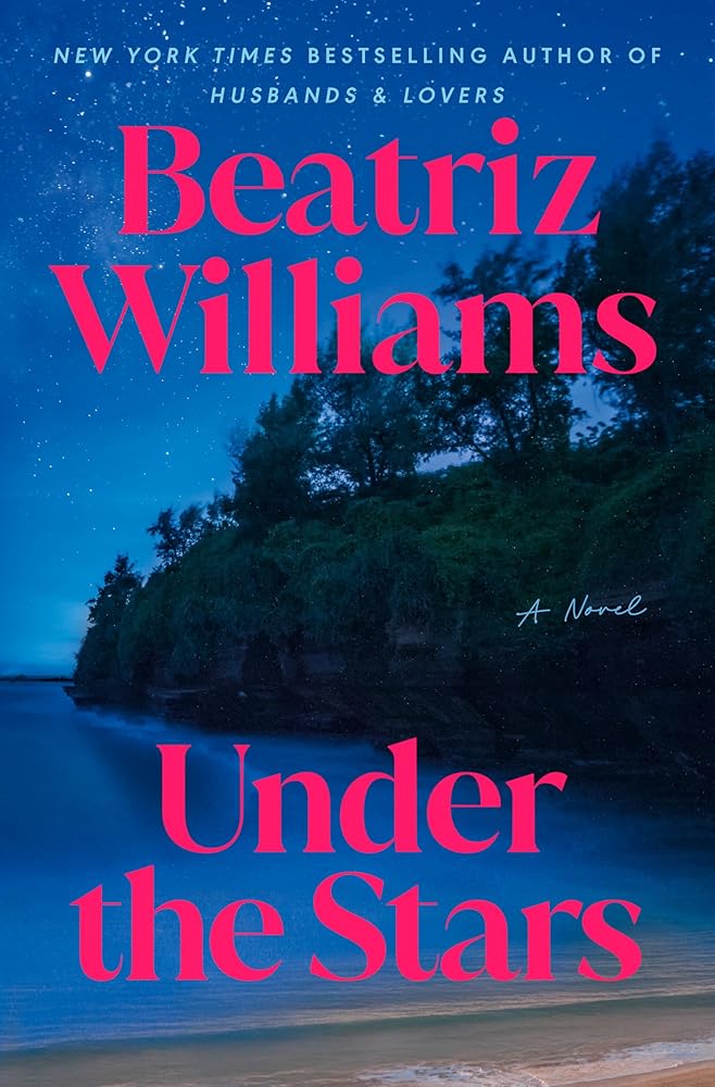 Under the Stars: A Novel cover image