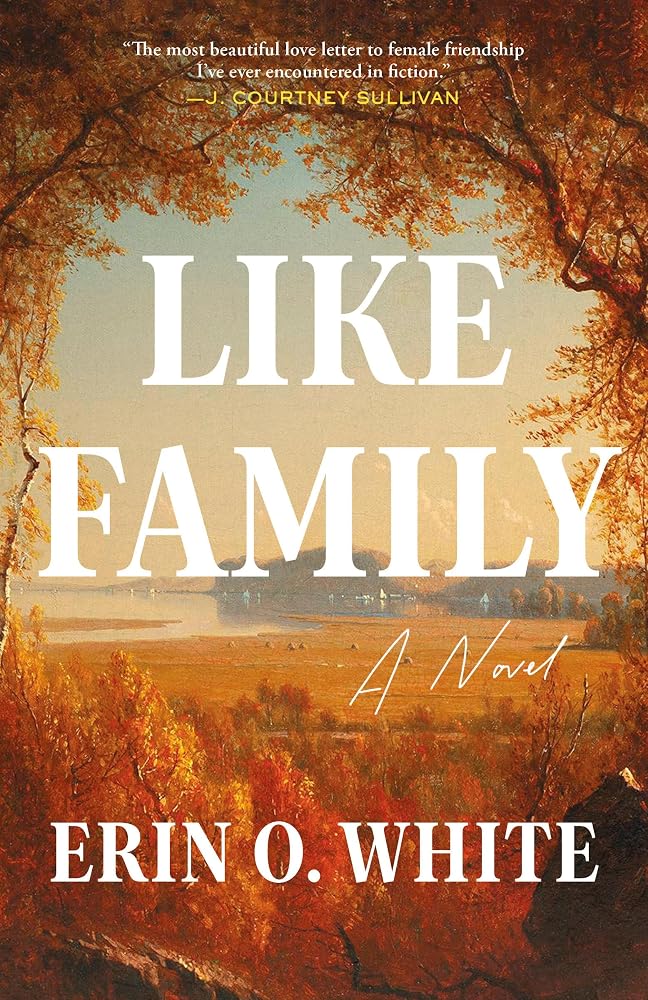Like Family: A Novel cover image