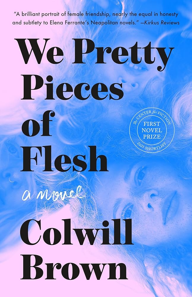We Pretty Pieces of Flesh: A Novel cover image