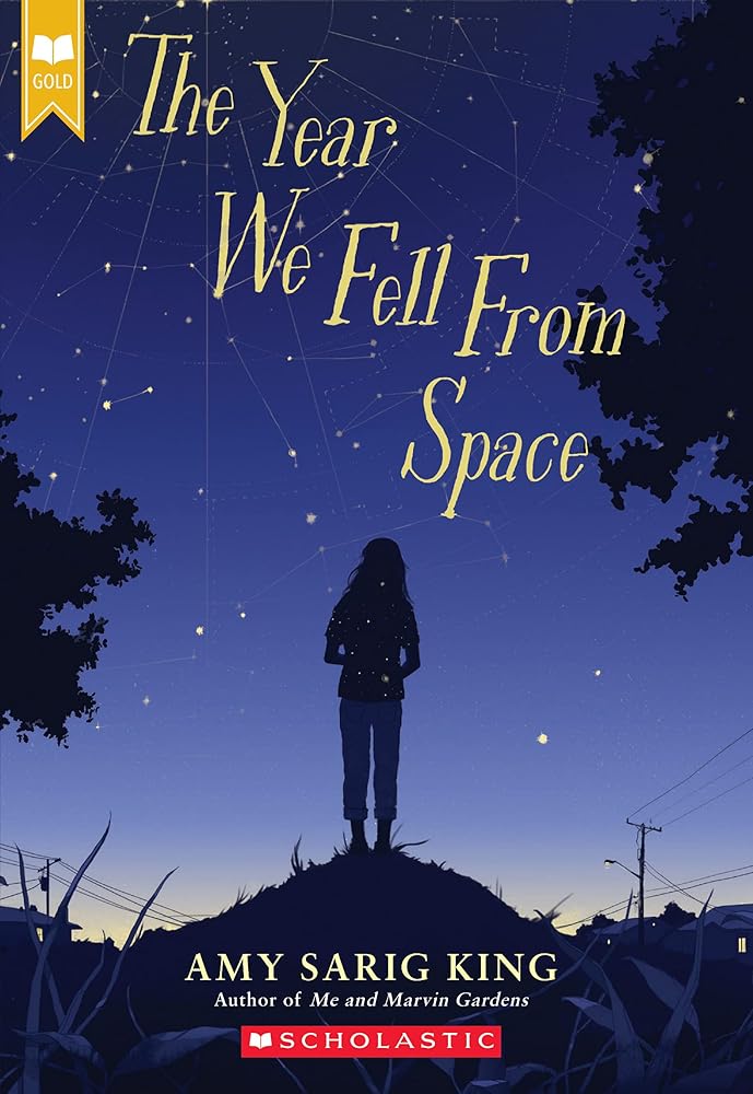 The Year We Fell From Space (Scholastic Gold) cover image