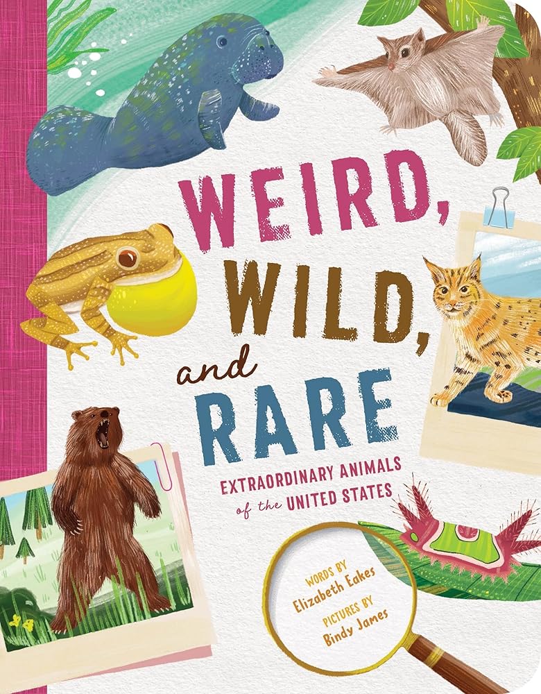 Weird, Wild, and Rare: Extraordinary Animals of the United States cover image
