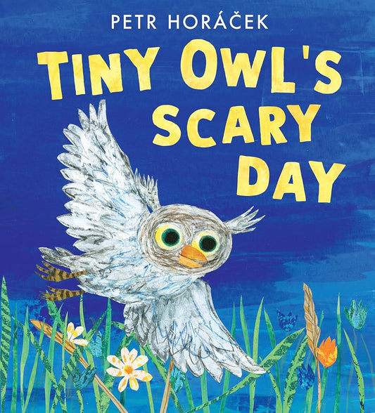 Tiny Owl's Scary Day cover image