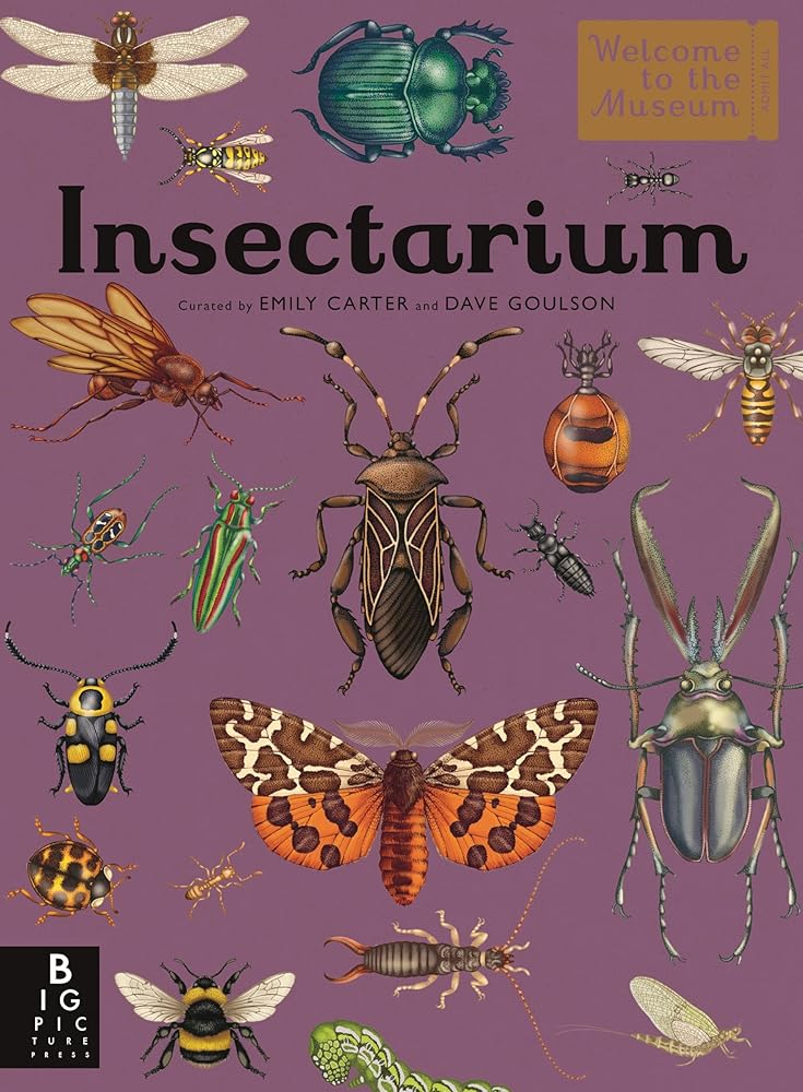 Insectarium: Welcome to the Museum (An Illustrated Junior Entomology Guide to Wild Bug Species, Biodiversity, and Nature Conservation for Kids Ages 8-12) cover image