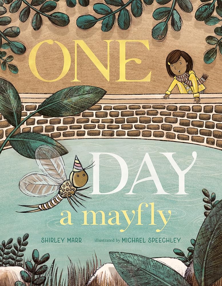 One Day a Mayfly cover image