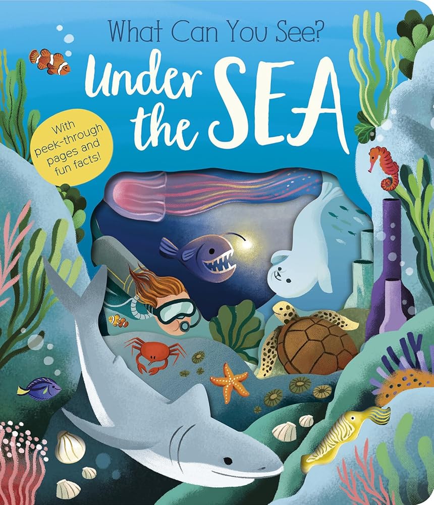 What Can You See? Under the Sea cover image