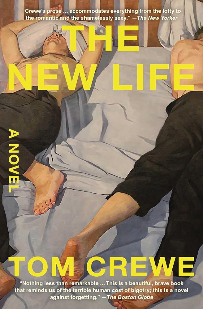 The New Life: A Novel cover image