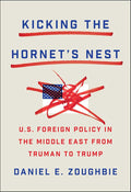 Kicking the Hornet's Nest: U.S. Foreign Policy in the Middle East from Truman to Trump cover image