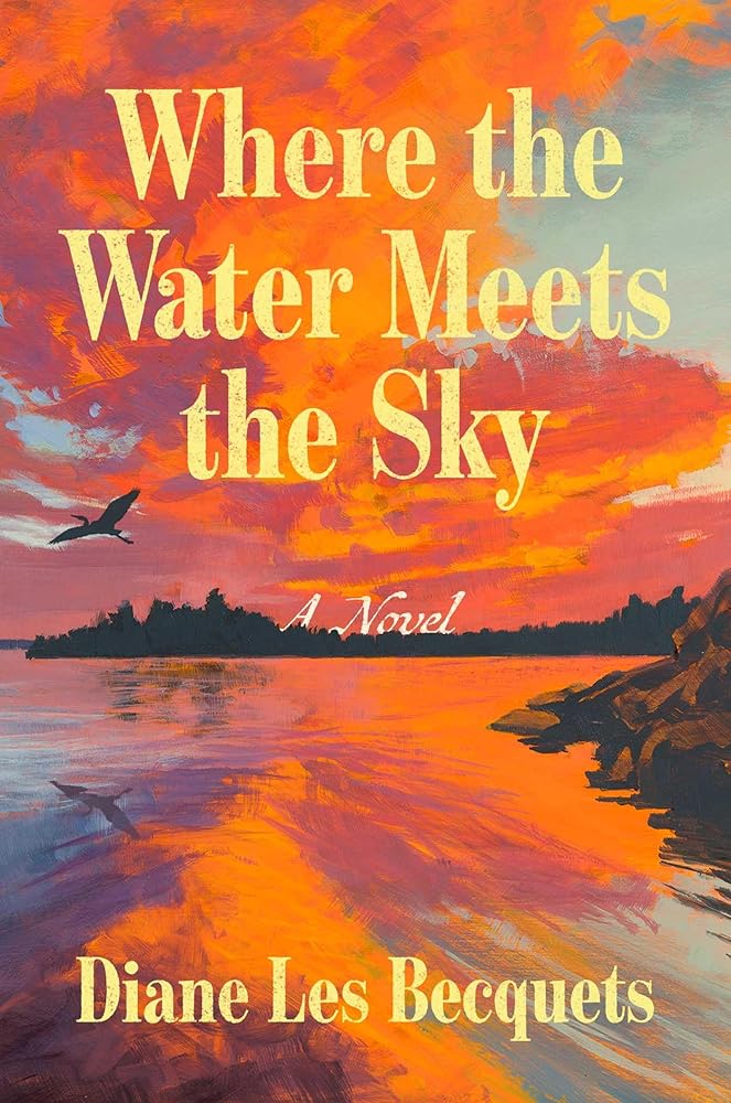 Where the Water Meets the Sky: A Novel cover image