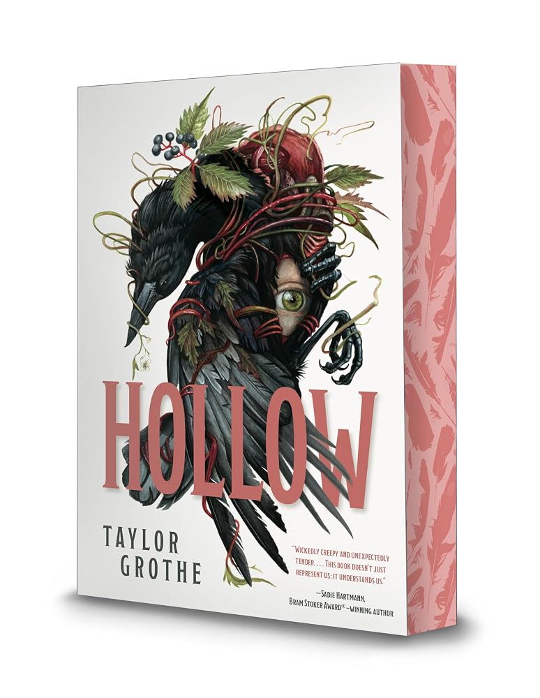 Hollow cover image