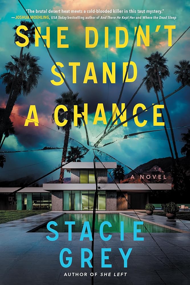 She Didn't Stand a Chance: A Novel cover image