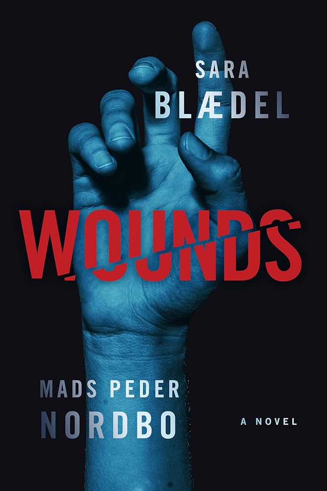 Wounds: A Novel cover image