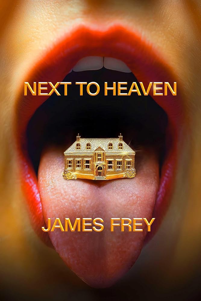 Next to Heaven: A Novel cover image