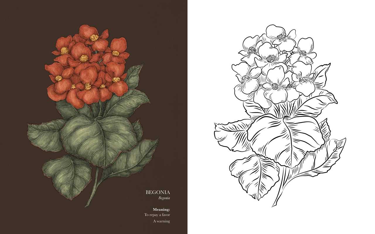 Coloring Book - Floriography