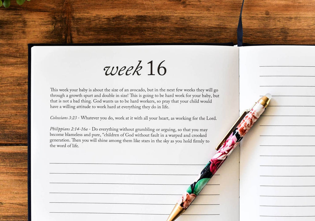 Dear Baby: A Pregnancy Prayer Journal & Memory Book for Moms: Gray