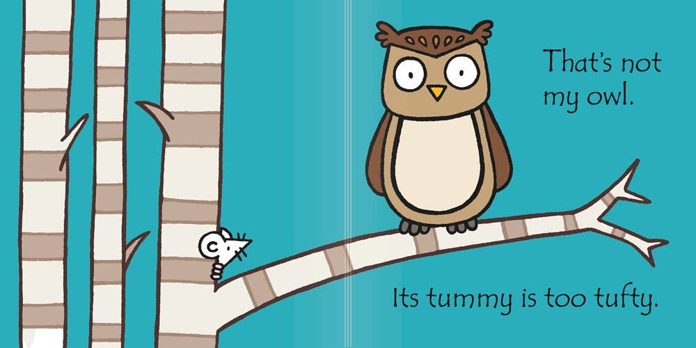 That's Not My Owl