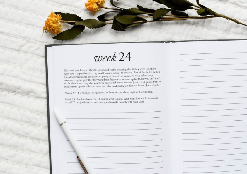 Dear Baby: A Pregnancy Prayer Journal & Memory Book for Moms: Gray