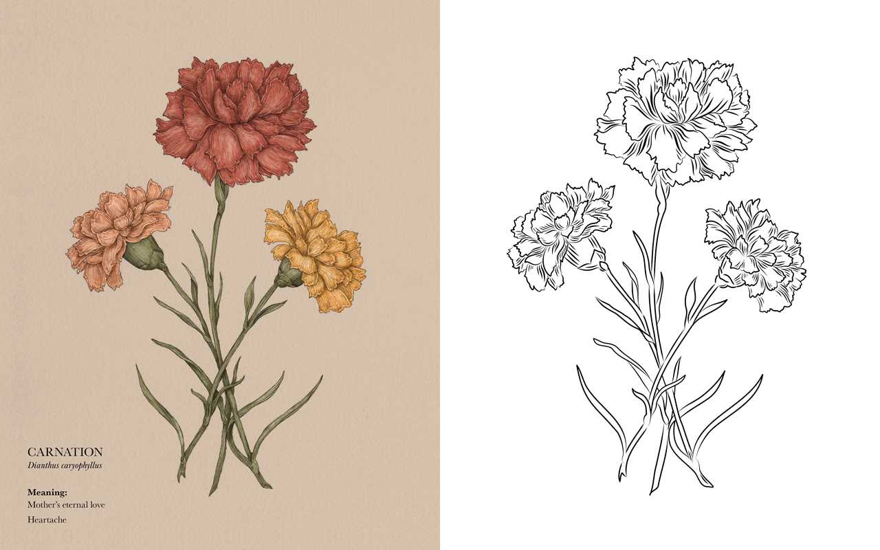 Coloring Book - Floriography
