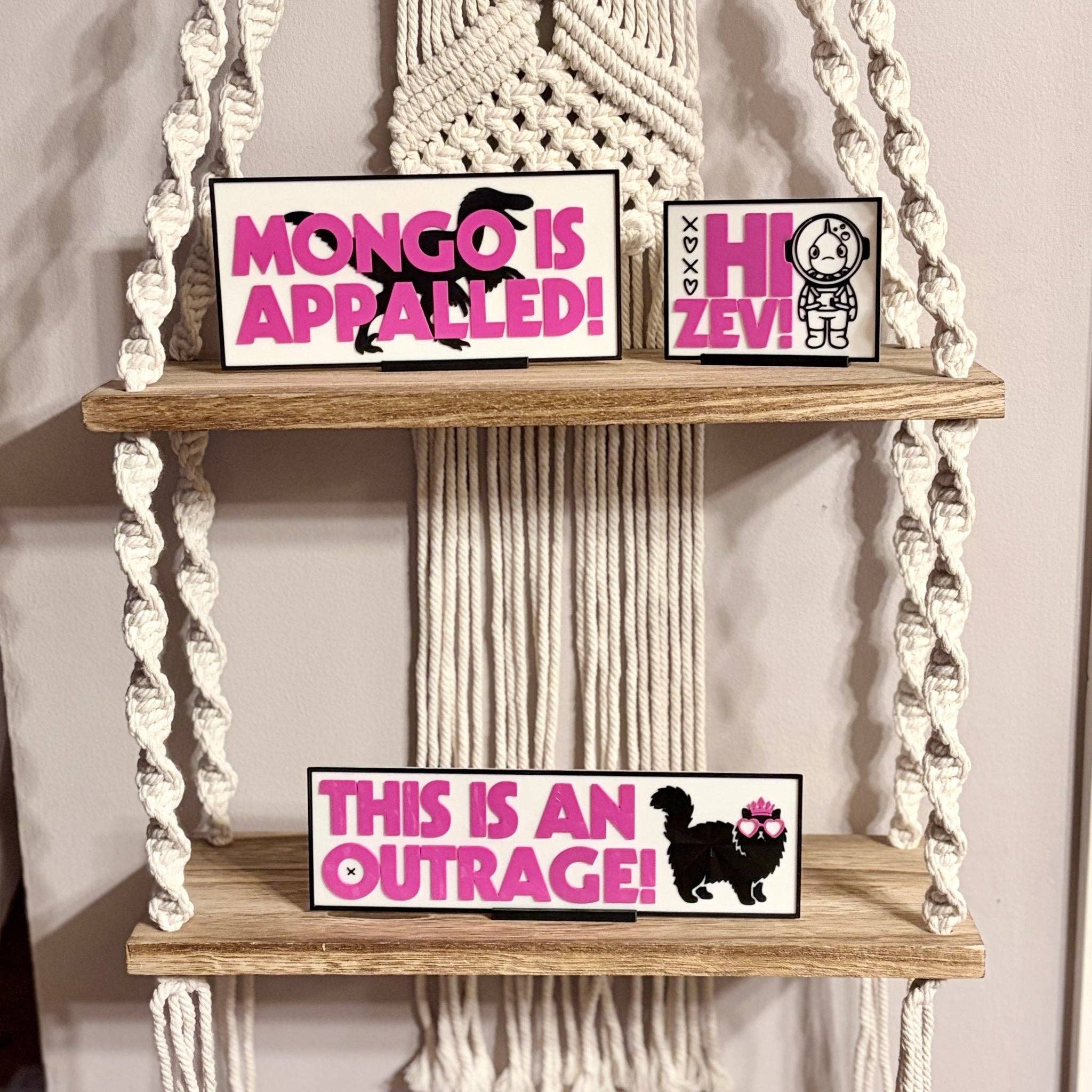 DCC Inspired "Mongo is Appalled!" Light Up Book Nook