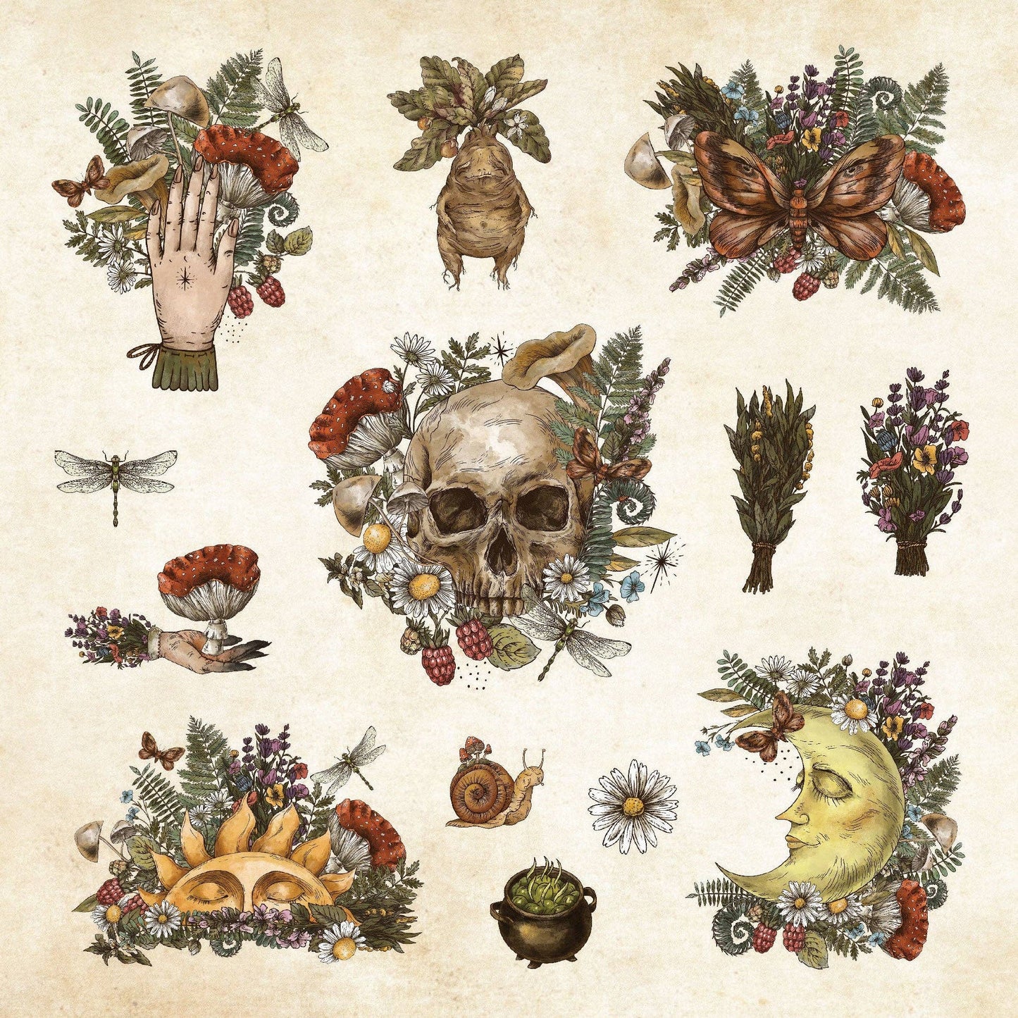 Sticker Book - Mystical Ephemera! An Enchanting Vintage