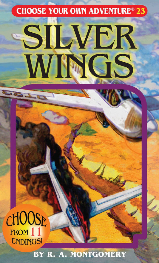 Silver Wings, Children's Book