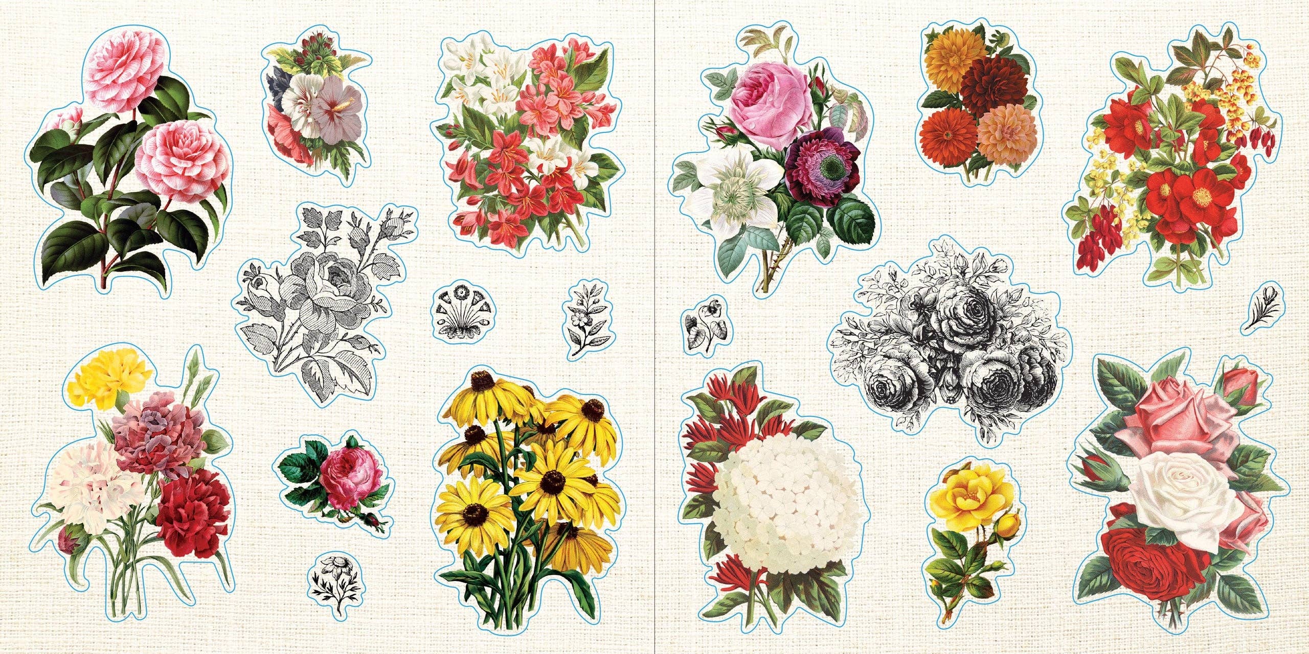 Sticker Book - Loads of Ephemera (580 stickers)