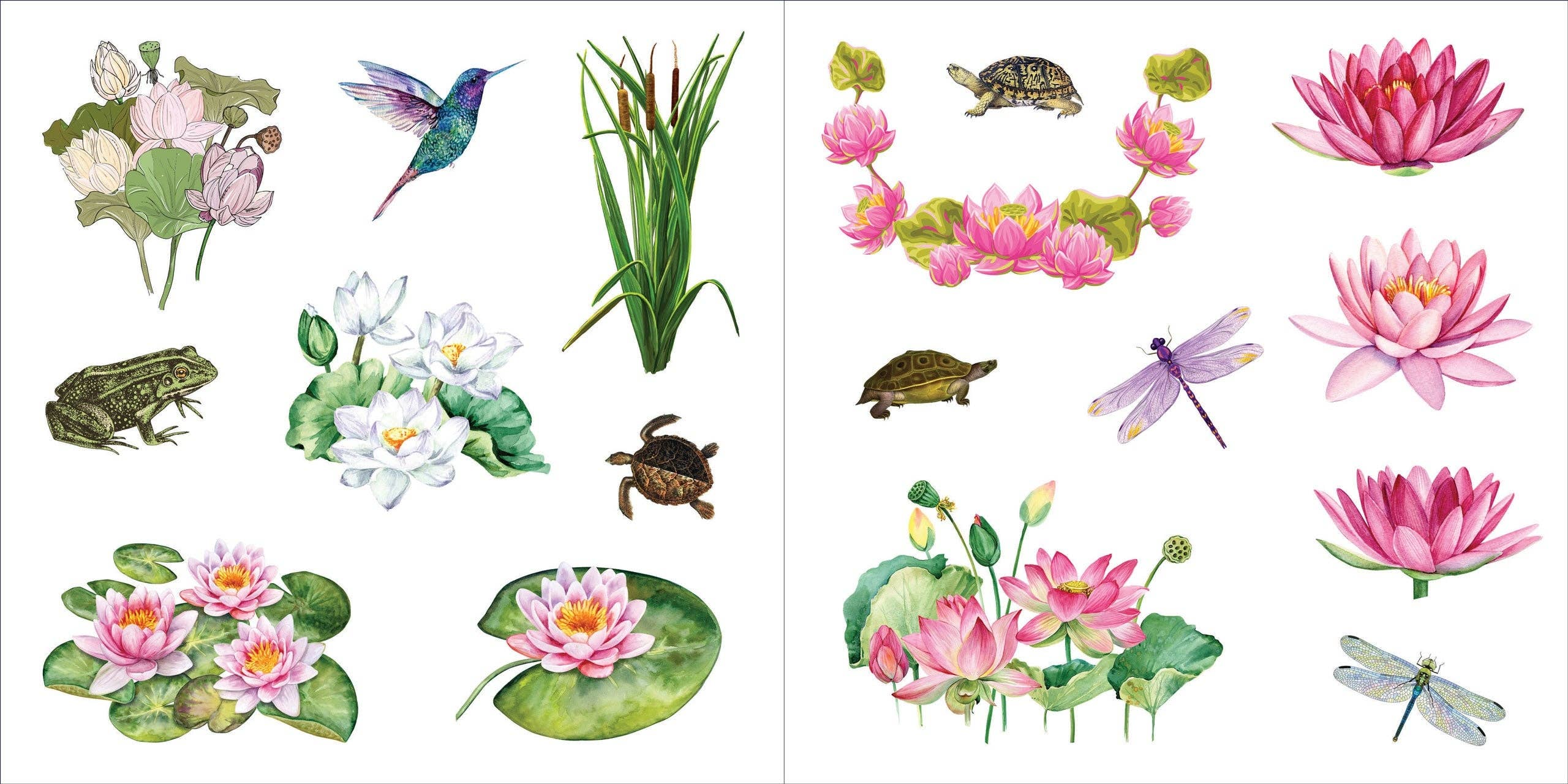 Sticker Book - Bunches of Botanicals (500 stickers)