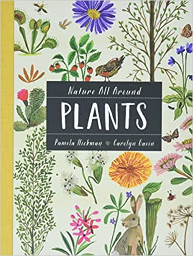 Nature All Around: Plants Hardcover