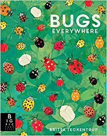 Bugs Everywhere Hardcover – Picture Book