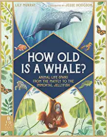 How Old Is a Whale?