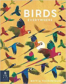 Birds Everywhere
