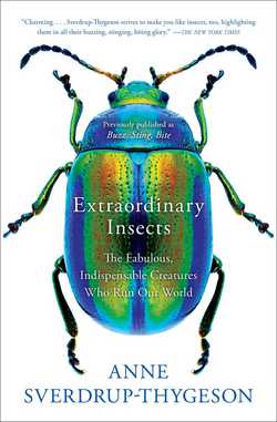 LTP - Extraordinary Insects: The Fabulous, Indispensable Creatures Who Run Our World