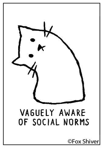 Magnet-Vaguely aware of social norms