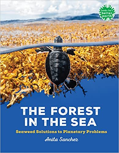 The Forest in the Sea: Seaweed Solutions to Planetary Problems (Books for a Better Earth