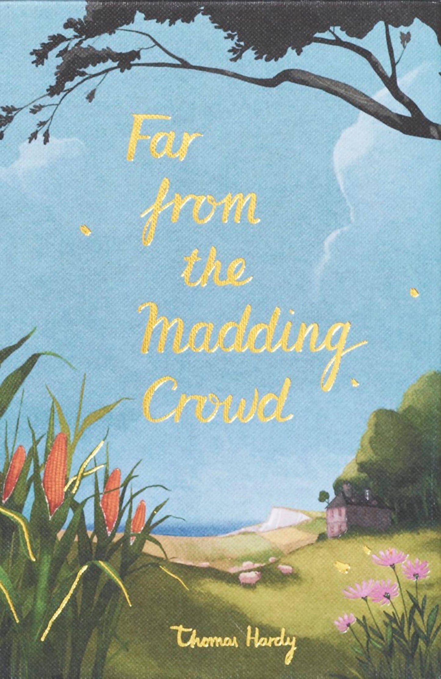 Far from the Madding Crowd | Wordsworth Collector's Ed Book