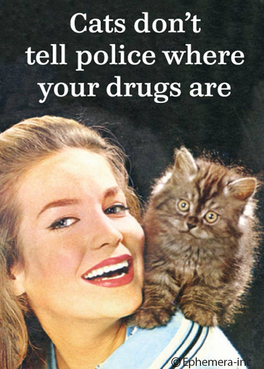 Magnet-Cats don't tell police where your drugs are